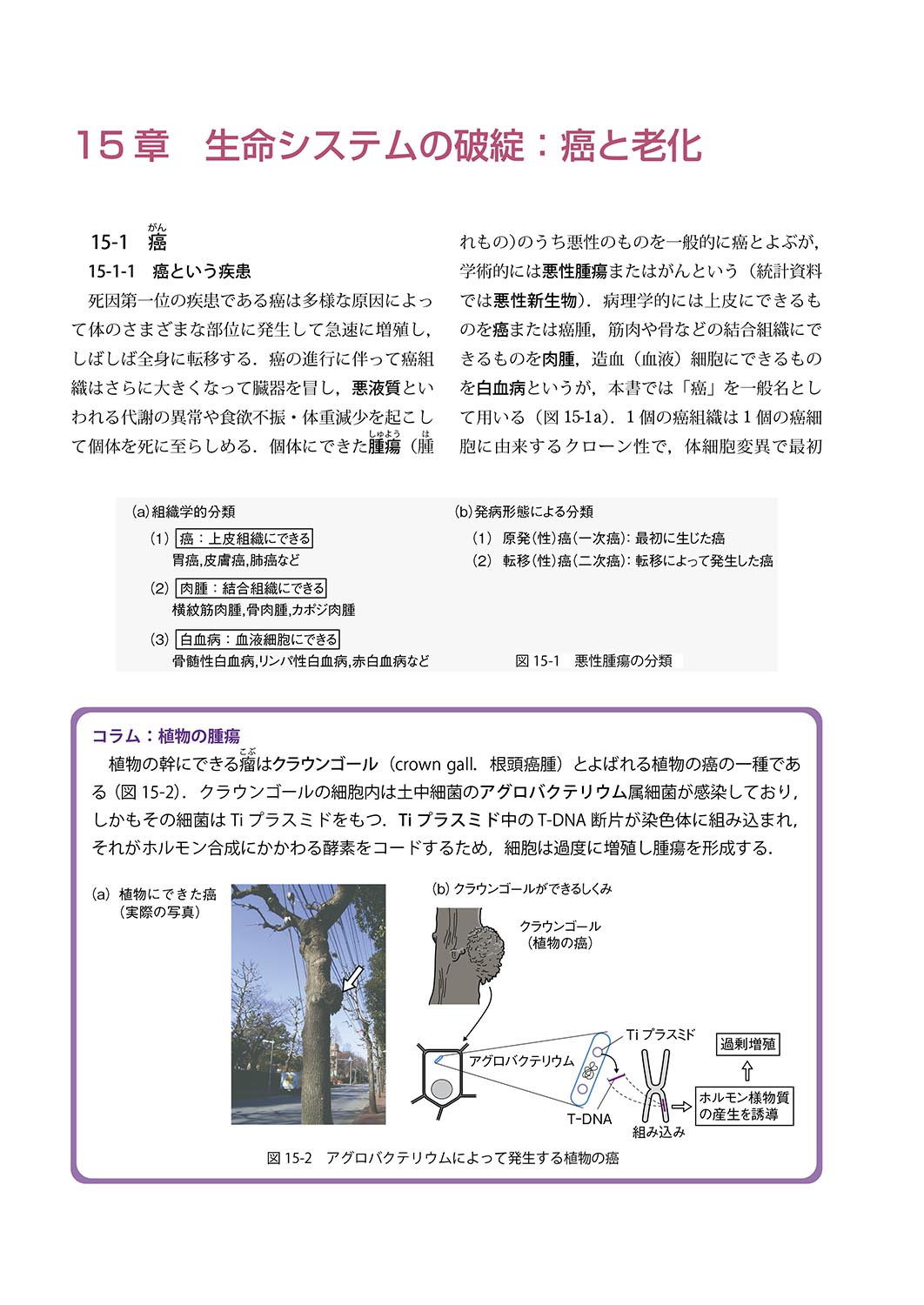 �w��ÁE�Ō�n�̂��߂� �����w�i�O���Łj�x ���e���{