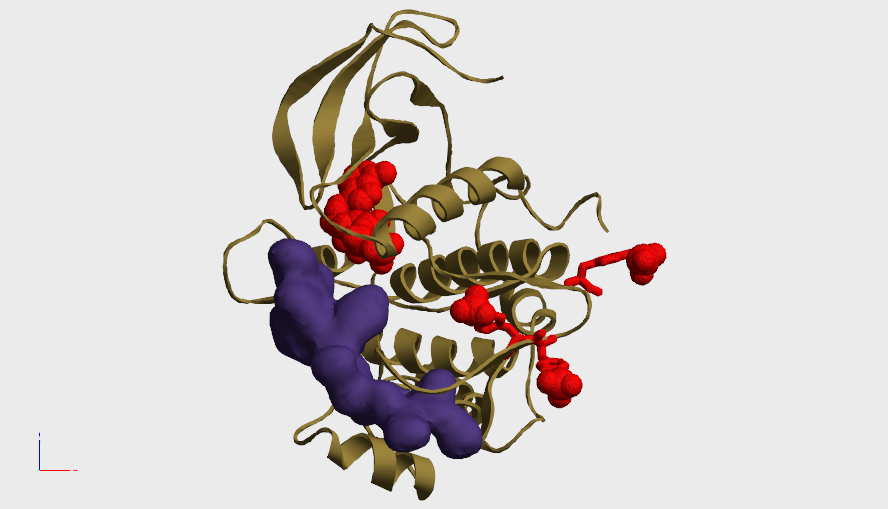 ヘテロ三量体Gタンパク質