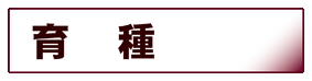 農学:育種