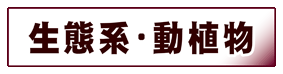 環境科学:生態系・動植物