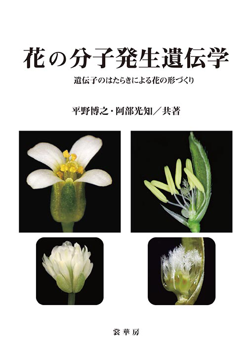 書籍紹介 花の分子発生遺伝学 平野博之 阿部光知 共著 生物学 書籍紹介 花の分子発生遺伝学 平野博之 阿部光知 共著 生物学
