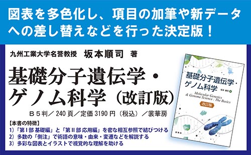 �w��b���q��`�w�E�Q�m���Ȋw�i�����Łj�x