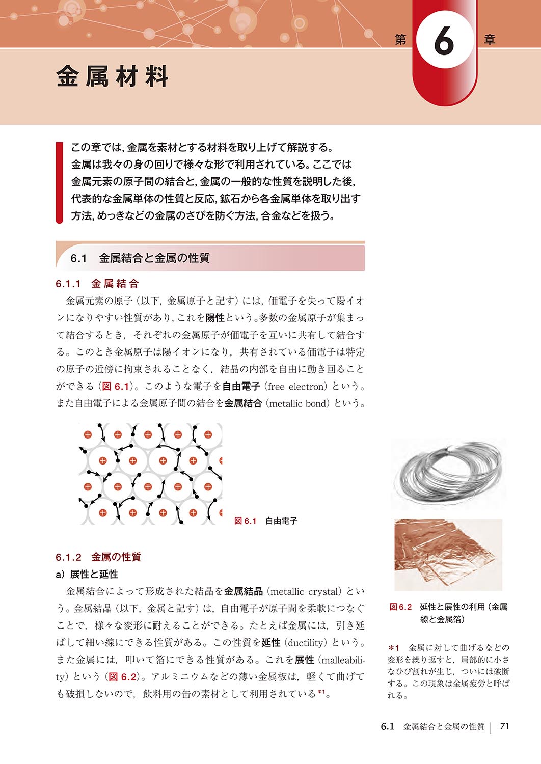 �w������Ƃ킩�� ���炵���x���鉻�w12�u�x ���e���{