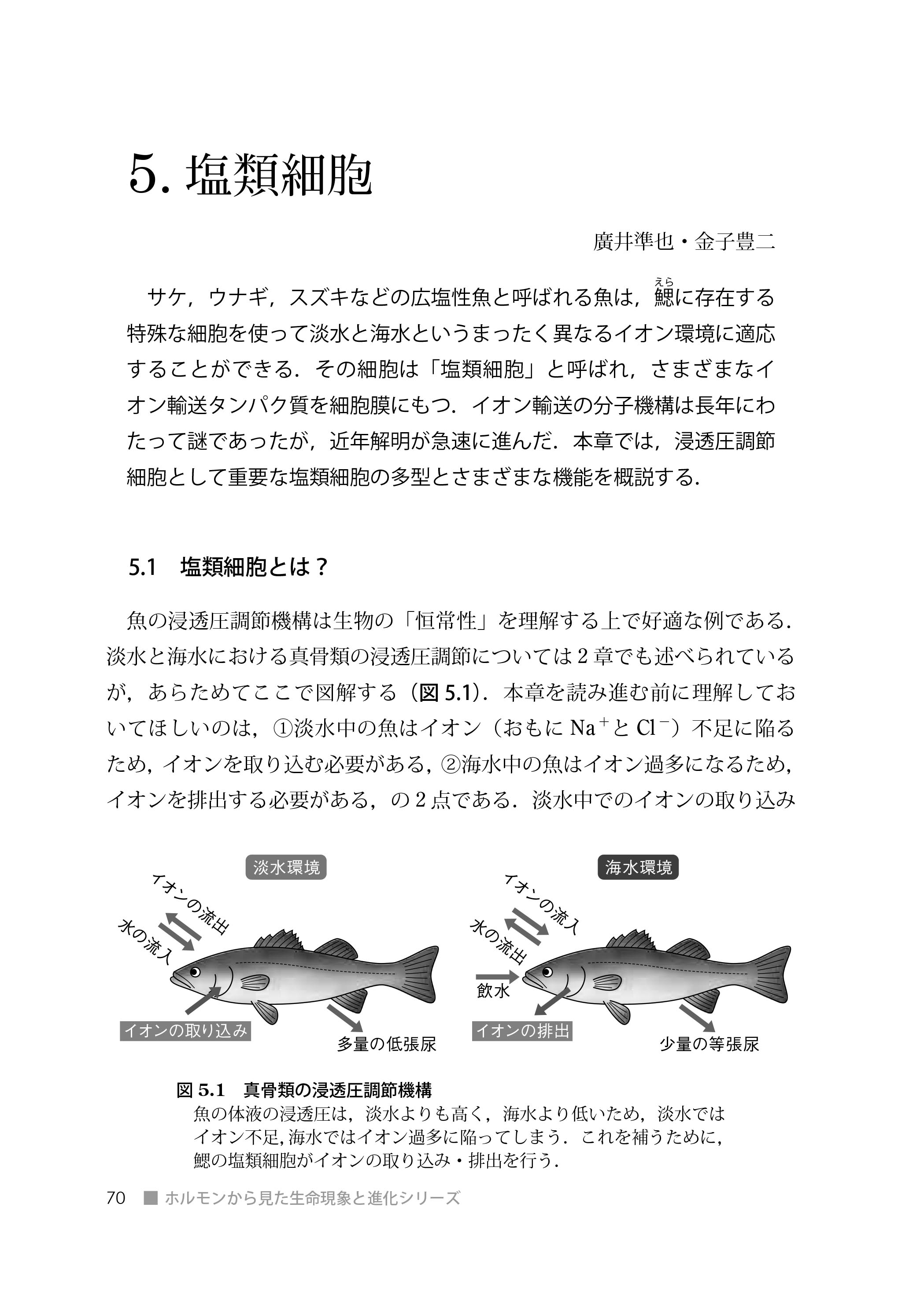 『ホメオスタシスと適応』 内容見本