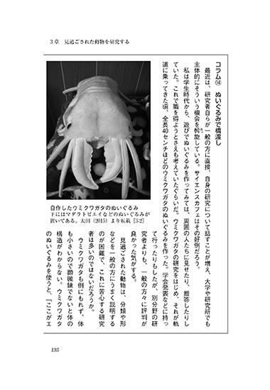 『海のクワガタ採集記』 内容見本