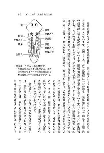 『プラナリアたちの巧みな生殖戦略』 内容見本