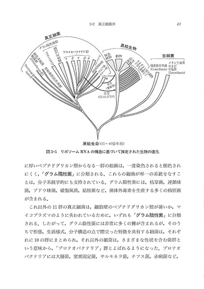 『生物科学入門(三訂版)』 内容見本