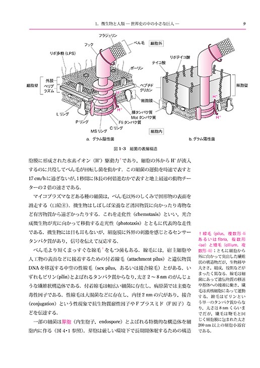 『微生物学』 内容見本