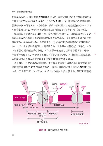 『新版 生物学と人間』 内容見本
