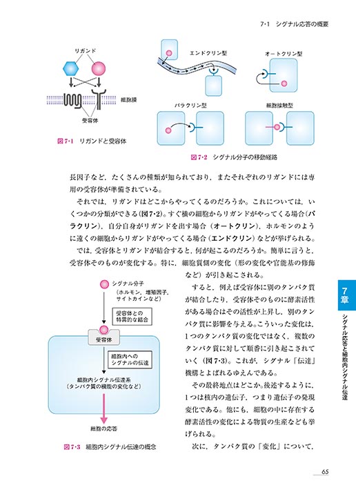 『基礎からスタート 大学の生物学』 内容見本