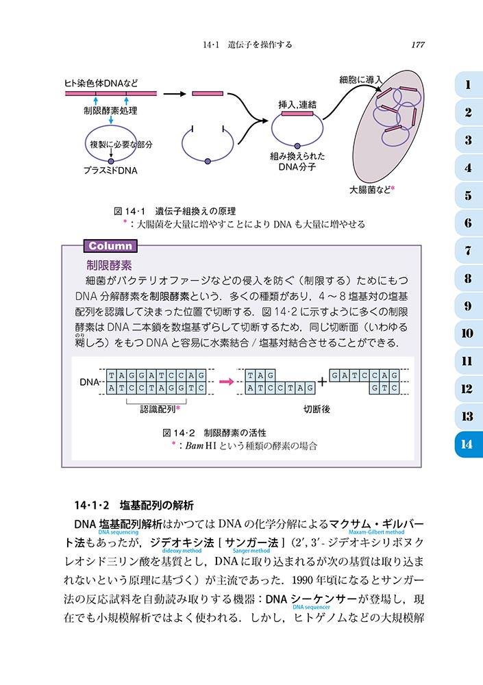 『コア講義 生物学(改訂版)』 内容見本