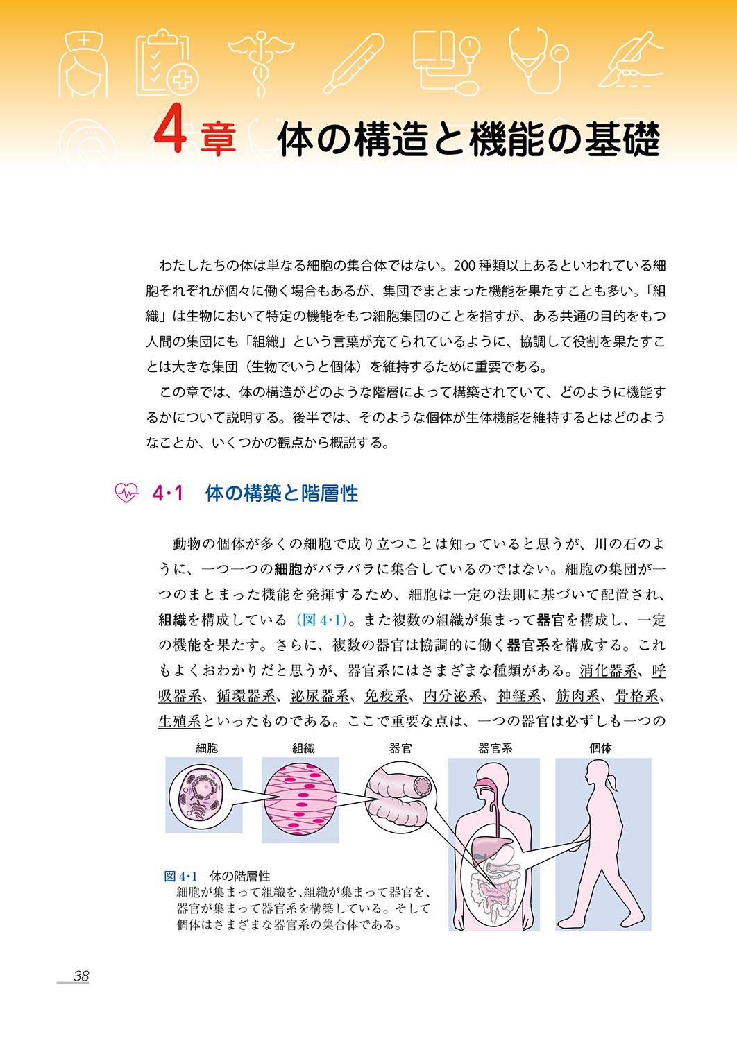 『メディカルスタッフのための生物学』 内容見本