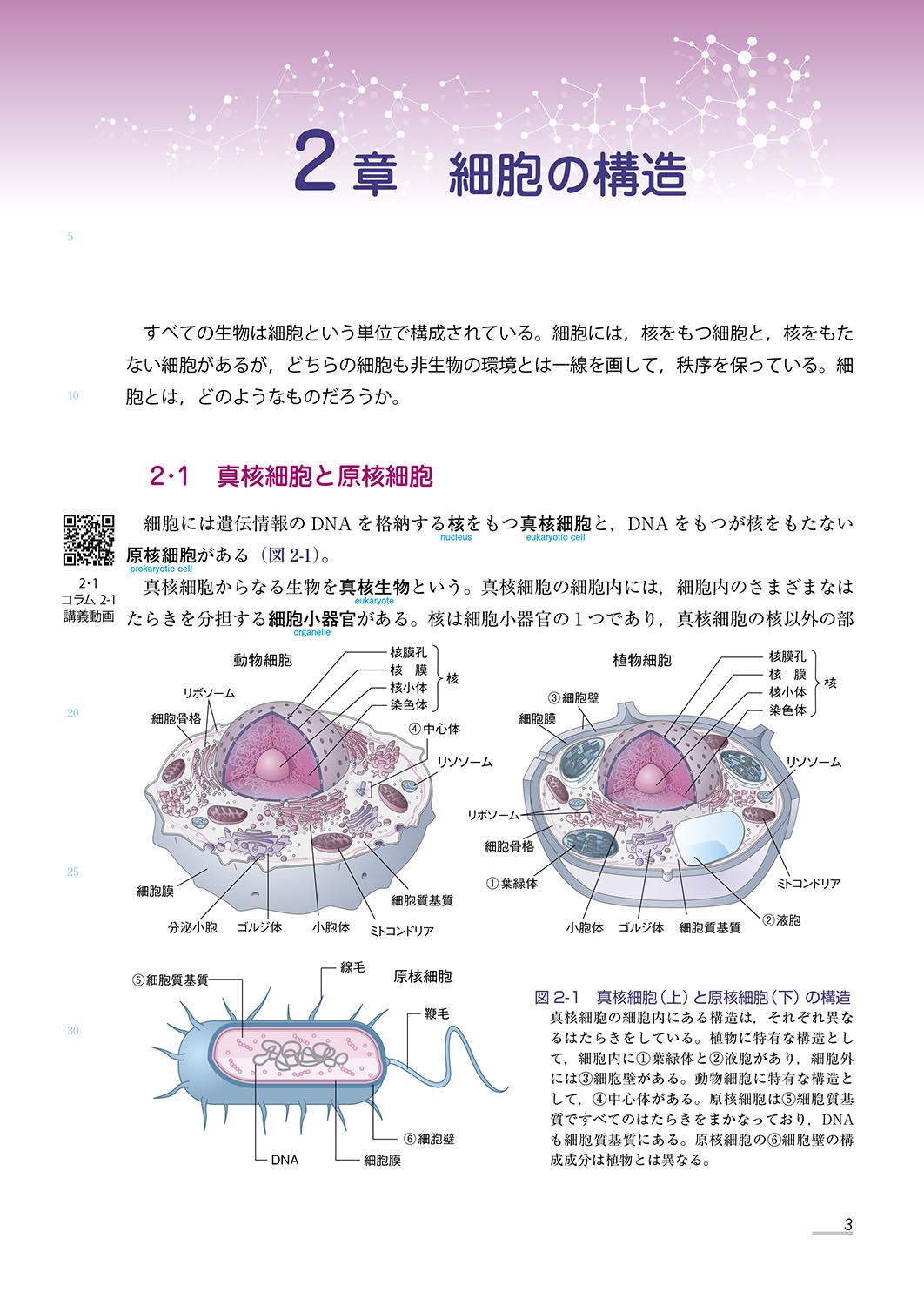 『動画でサポート 生命の科学』 内容見本