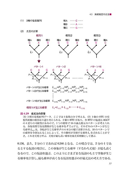 『動物の系統分類と進化』 内容見本