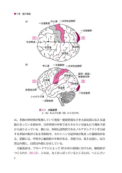 『脳』 内容見本