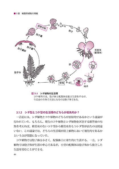 『植物の系統と進化』 内容見本