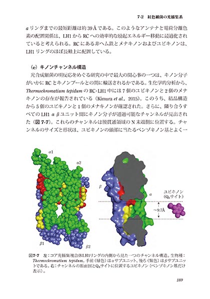 『光合成細菌』 内容見本