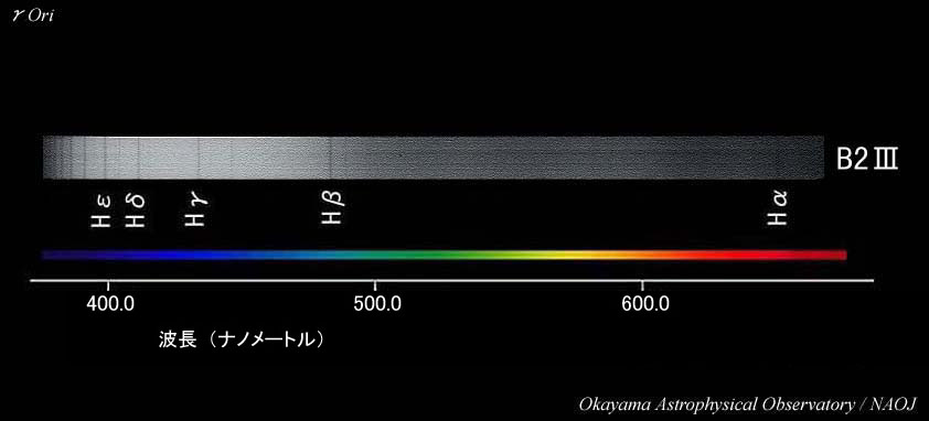 セルペンティ スピガ シングルスパイラル 103626｜BVLGARI